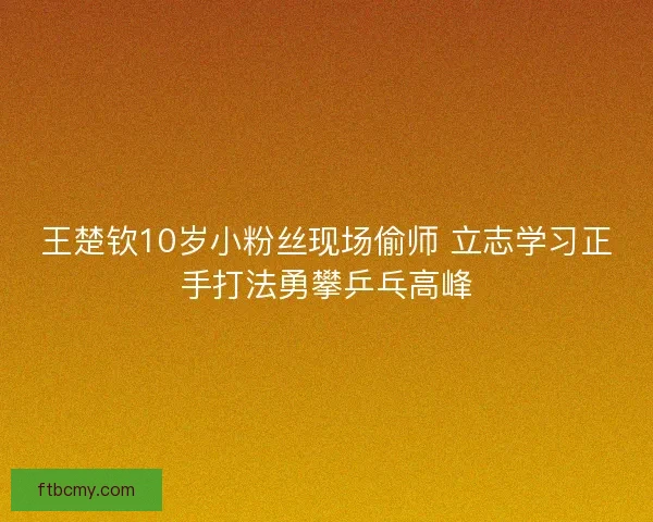王楚钦10岁小粉丝现场偷师 立志学习正手打法勇攀乒乓高峰 王楚钦10岁小粉丝现场偷师 立志学习正手打法勇攀乒乓高峰