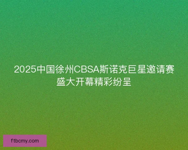 2025中国徐州CBSA斯诺克巨星邀请赛盛大开幕精彩纷呈 2025中国徐州CBSA斯诺克巨星邀请赛盛大开幕精彩纷呈