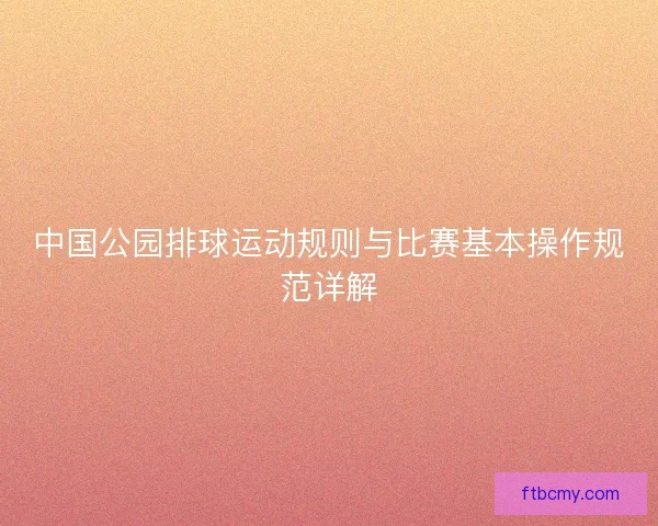 中国公园排球运动规则与比赛基本操作规范详解